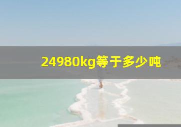 24980kg等于多少吨