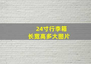 24寸行李箱长宽高多大图片