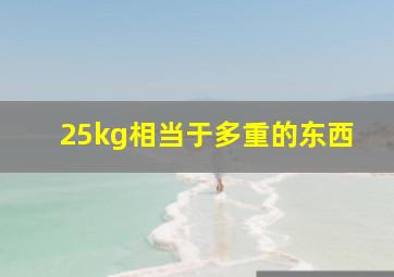 25kg相当于多重的东西