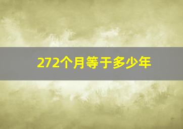 272个月等于多少年