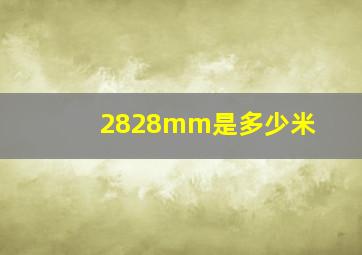 2828mm是多少米