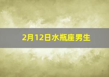 2月12日水瓶座男生