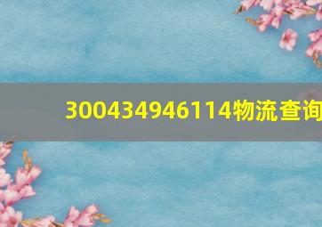 300434946114物流查询