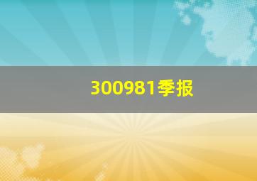 300981季报