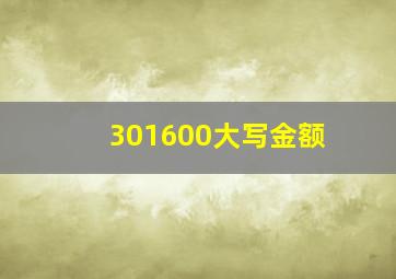 301600大写金额