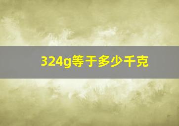 324g等于多少千克