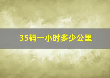 35码一小时多少公里