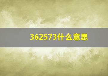 362573什么意思