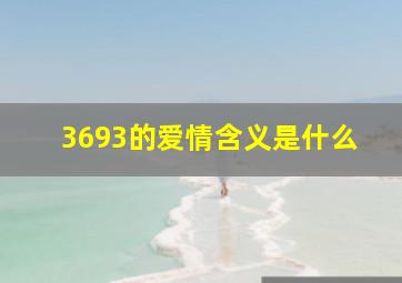 3693的爱情含义是什么