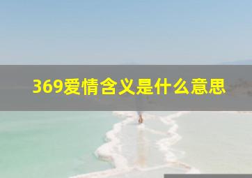 369爱情含义是什么意思