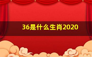 36是什么生肖2020