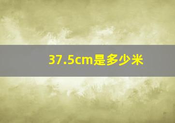 37.5cm是多少米