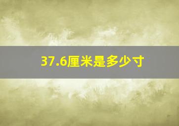 37.6厘米是多少寸