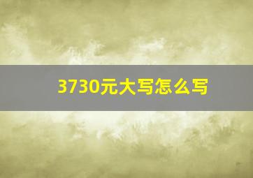 3730元大写怎么写