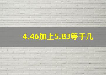 4.46加上5.83等于几