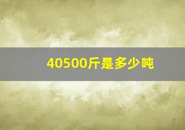 40500斤是多少吨