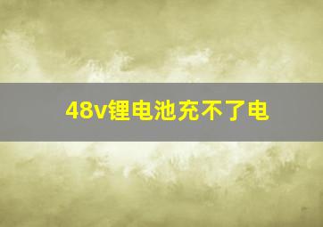 48v锂电池充不了电