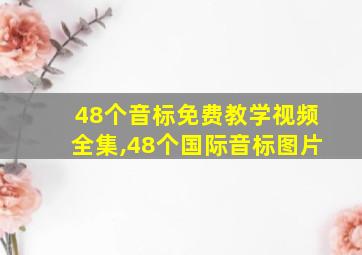 48个音标免费教学视频全集,48个国际音标图片