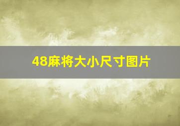 48麻将大小尺寸图片