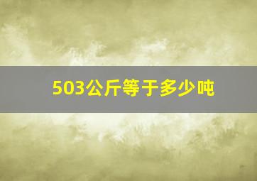 503公斤等于多少吨