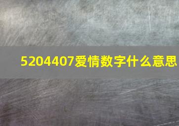 5204407爱情数字什么意思