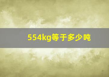 554kg等于多少吨