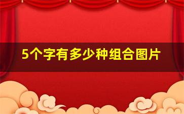 5个字有多少种组合图片