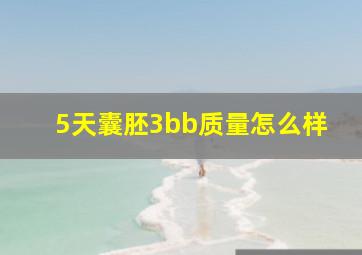 5天囊胚3bb质量怎么样