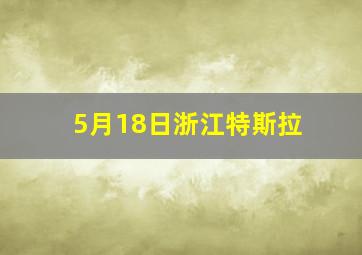 5月18日浙江特斯拉