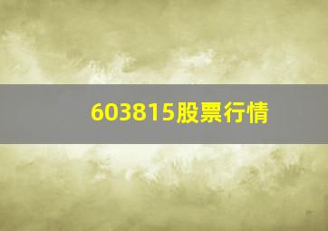 603815股票行情