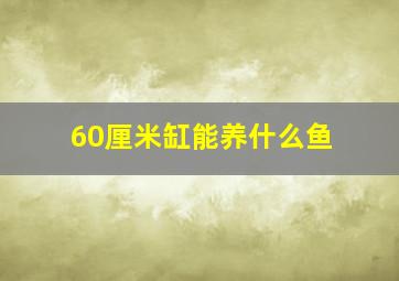 60厘米缸能养什么鱼