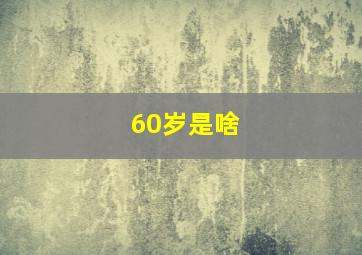 60岁是啥