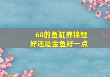 60的鱼缸养锦鲤好还是金鱼好一点