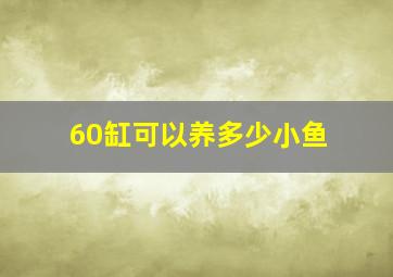 60缸可以养多少小鱼