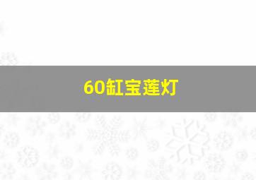 60缸宝莲灯