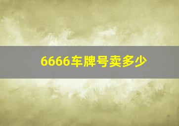 6666车牌号卖多少