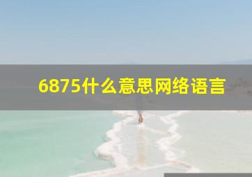 6875什么意思网络语言