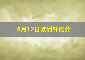 6月12日欧洲杯比分