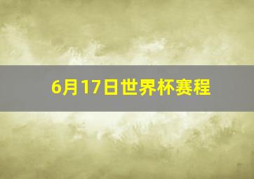 6月17日世界杯赛程