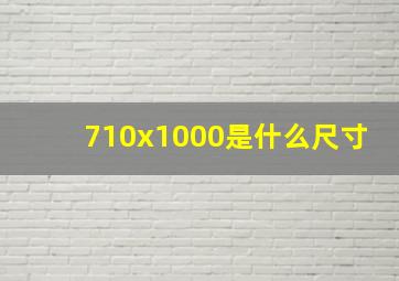 710x1000是什么尺寸