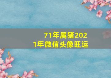 71年属猪2021年微信头像旺运