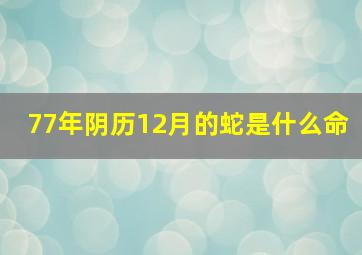 77年阴历12月的蛇是什么命