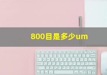 800目是多少um