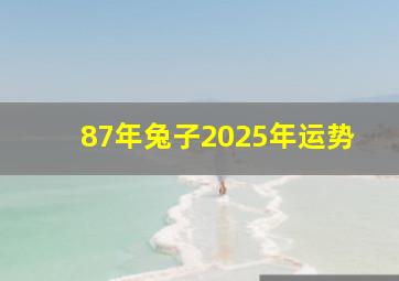 87年兔子2025年运势