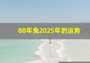 88年兔2025年的运势