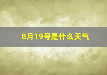 8月19号是什么天气