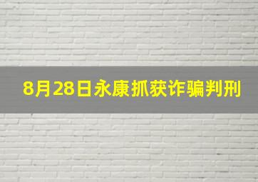 8月28日永康抓获诈骗判刑