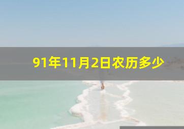 91年11月2日农历多少