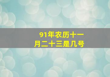 91年农历十一月二十三是几号