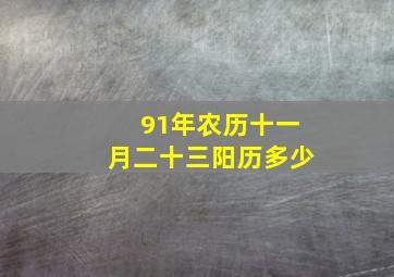 91年农历十一月二十三阳历多少